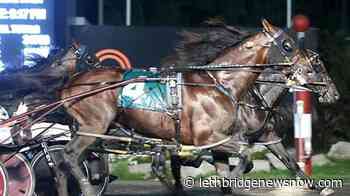 Veteran driver Yannick Gingras feeling good about Pepsi North America Cup - Lethbridge News Now