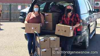 4-H family donates another calf to a Lethbridge charity - Lethbridge News Now