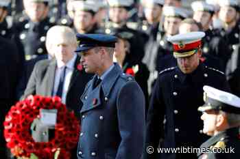 Princes William and Harry announce Princess Diana's statue will be installed next year