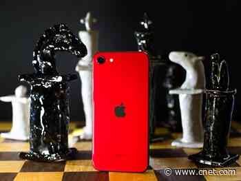 iPhone SE vs. Android budget phones: Pixel 3A, Galaxy S10E, Galaxy A51     - CNET