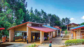 Game Changers 2020: Diana Anderson and General Architecture Collaborative on Wellness and Community - Metropolis Magazine