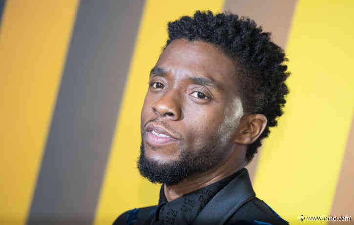 Fans are resharing this beautiful footage of Chadwick Boseman surprising ‘Black Panther’ fans