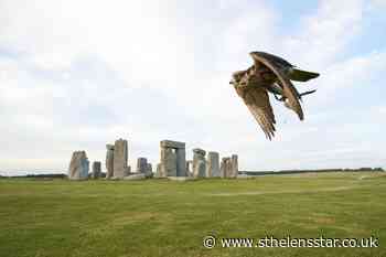 Falcons return to Stonehenge with public displays - St Helens Star