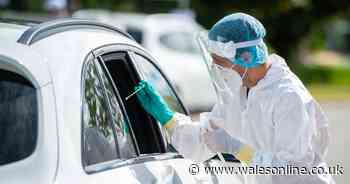 Wales' daily coronavirus deaths and cases update for August 29