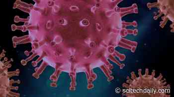 Extensive Search for COVID-19 Drugs Finds Promising Compounds Originally Developed for SARS