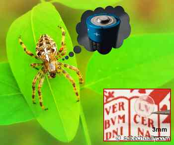 Spider Silk Inspires New Class of Functional Synthetic Polymers for Bio-Electronics, Sensors, and Batteries