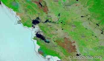 Massive Burn Scars Across California Revealed in Stunning NASA Terra Satellite Images