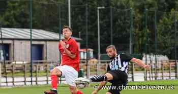 Newcastle 2-1 Barnsley: Andy Carroll and Jacob Murphy secure win