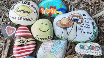 Rock garden aims to spread positivity around Innisfail