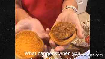 24-Year-Old McDonald's Hamburger Still Looks Fresh