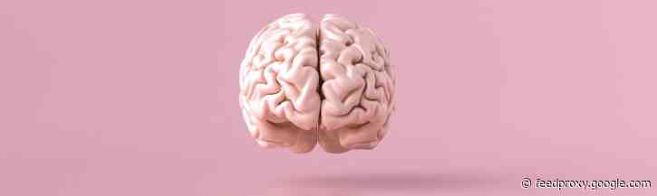 Zo gebruik je je brein goed en voorkom je energievreters