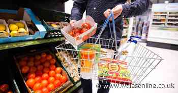 How supermarkets could cut throwaway plastic by half by 2025