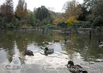 How Teenage Mutant Ninja Turtles played part in history of Walton Hall