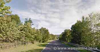 Woman, 26, killed and another arrested after car hits tree