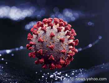 First confirmed case of COVID-19 reinfection is ‘not surprising,’ doctors say