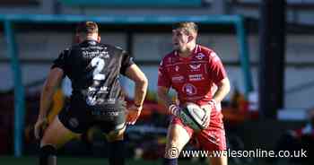 Dragons v Scarlets player ratings as Welsh fly-half shines
