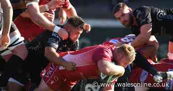 Scarlets keep slim play-off hopes alive with comprehensive victory