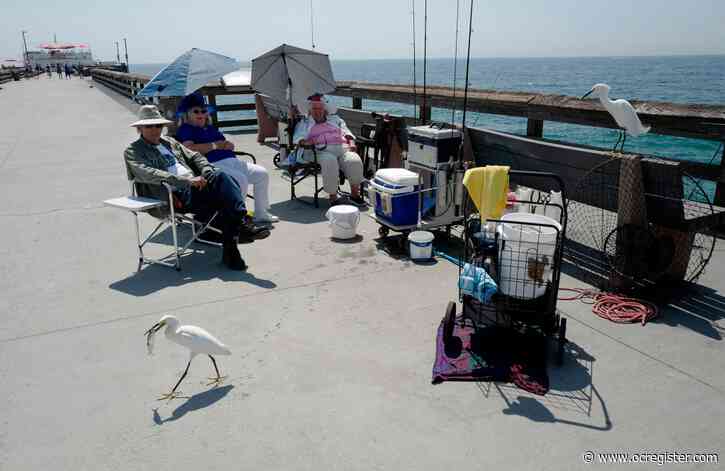 Fishing line recycle bins installed on Balboa Pier thanks to local whale watch and fishing companies