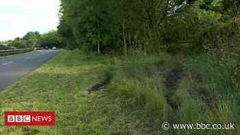 Woman, 26, killed after car hit a tree in Penygraig