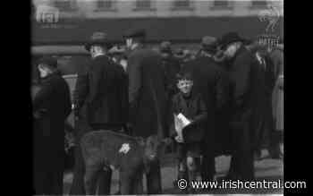 WATCH: A rare look at Belfast in the 1920s - IrishCentral