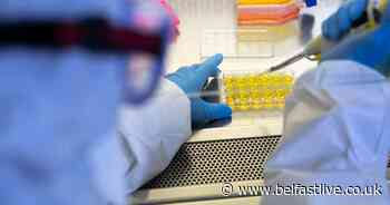 Coronavirus 'R' number now estimated at 1-1.6 in Northern Ireland - Belfast Live