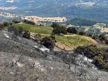 California residents didn't want controlled burns near their homes. Some of those homes then burned in a wildfire.