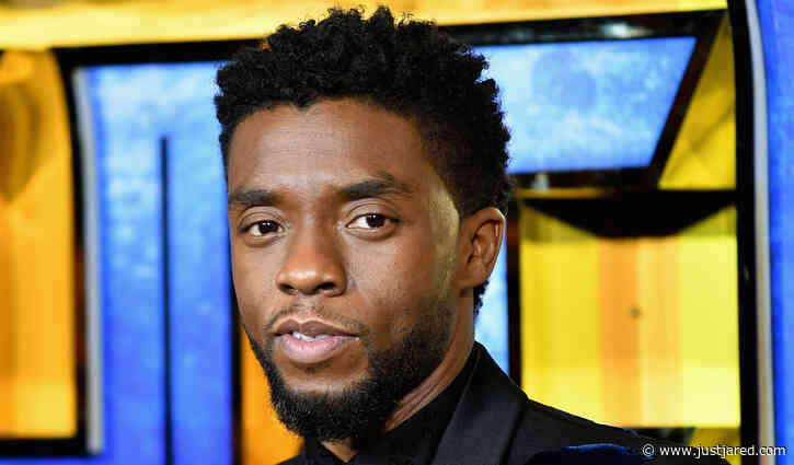 Chadwick Boseman's Final Movie Was Going to Be Previewed on Monday, But Netflix Just Canceled the Event