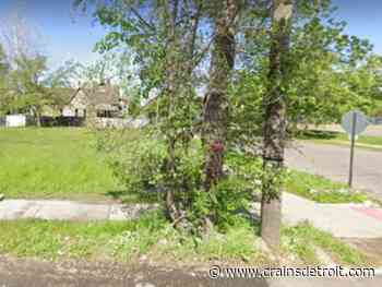 Detroit nonprofit to bring arts enclave, mini mercado to vacant Southwest Detroit lots - Crain's Detroit Business