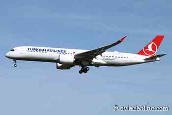 Novedades de Turkish Airlines en la ruta Estambul – San Pablo – Buenos Aires - Aviacionline.com