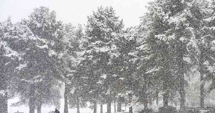 Letter: Keep our parks clean