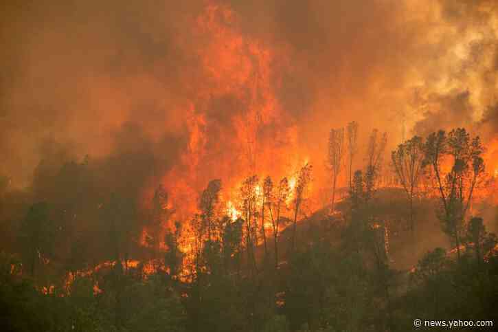 Why California's wildfire year could be the worst in decades