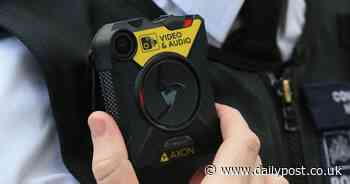 Lambs shot in head in 'horrific incident' - but miraculously survive - North Wales Live