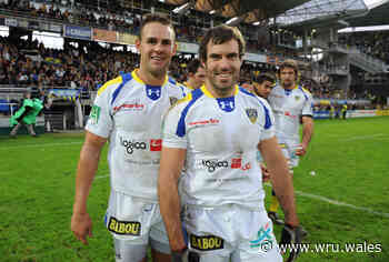 Byrne tips James to give Ospreys their wings - Welsh Rugby Union