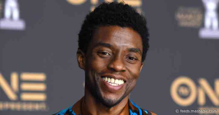 8 times Chadwick Boseman used his celebrity to be a real-life hero