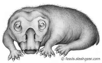 Study suggests hibernation was an ancient adaptation to harsh winters