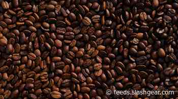 Study finds ideal caffeine and napping combo for staying up late