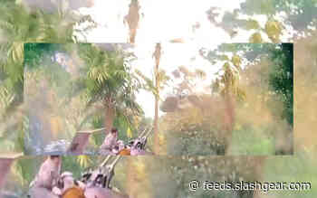 Newly discovered Star Wars IX Easter Egg points to Jacen