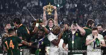 World champions South Africa in advanced talks to join Eight Nations tournament