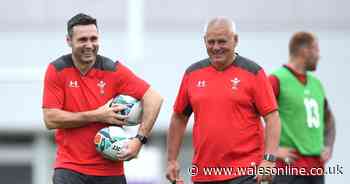 McGeechan tells Gatland to ignore Scott Robertson and pick Stephen Jones