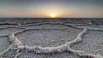 Warum wir uns auf den Kampf gegen den Klimawandel versteifen