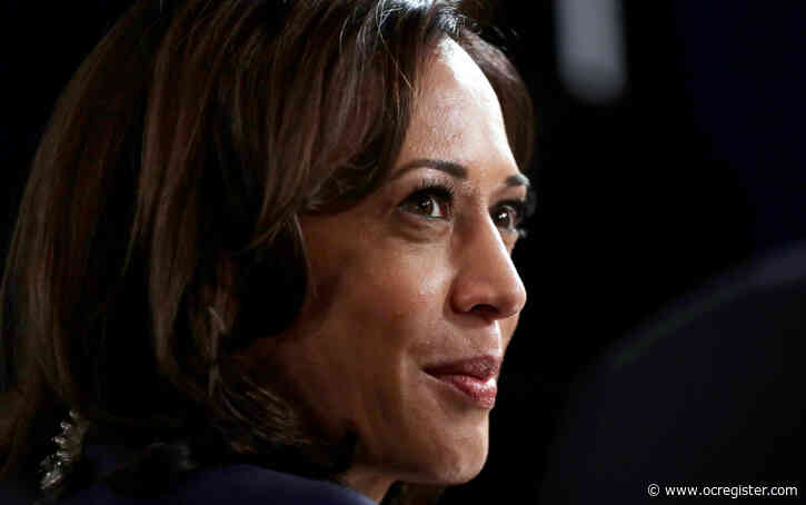 Kamala Harris’ candidacy gives Tamil Americans a moment in the spotlight