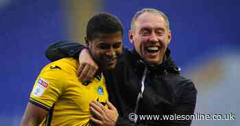 Swans hit for seven and face fresh blow in Brewster loan bid