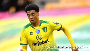 Lewis can still make dream Premier League move, insists national manager Baraclough