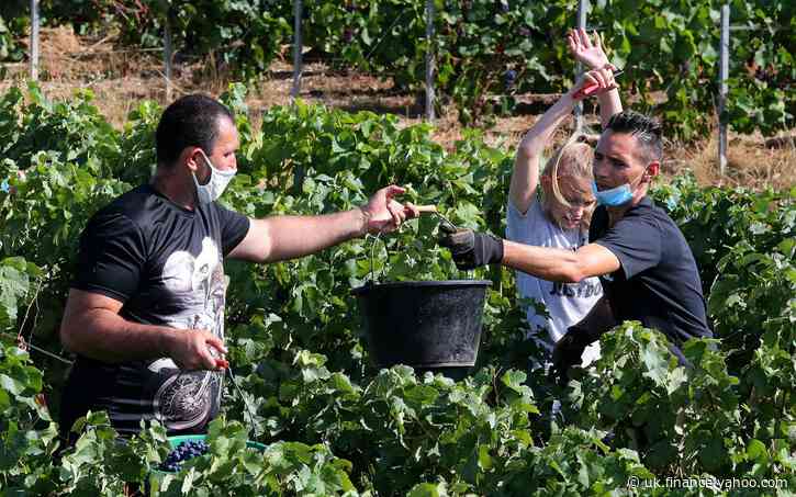 Champagne season could worsen Covid outbreak, doctors fear