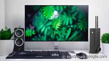 Top 5 Eco-Friendly Trends To Be Implemented In An Up-to-date Workplace
