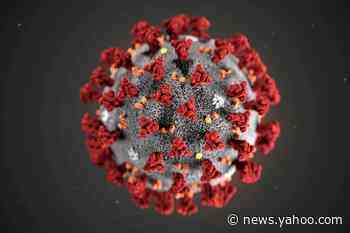 COVID-19 reinfection detected in U.S. patient; saliva tests endorsed
