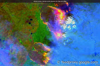 A Pandemic of Wildfire