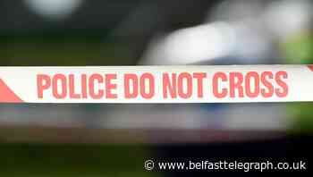 Suspected World War Two grenade found in forest in Newtownards area