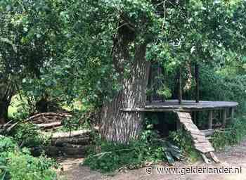 Boosheid en raadsvragen om ‘gedwongen afbreken’ speelbos Lent: ‘Kinderen niet alles verbieden door stomme regels’