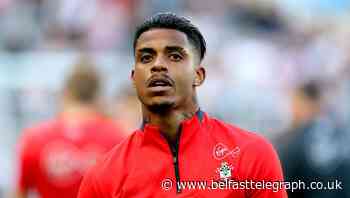 Fulham loan Mario Lemina from Southampton